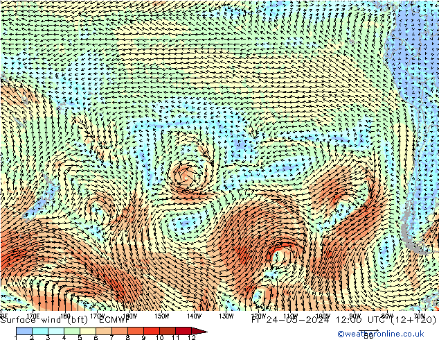 Wind 10 m (bft) ECMWF vr 24.05.2024 12 UTC