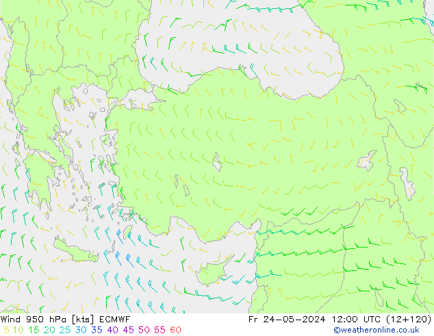 Wind 950 hPa ECMWF Fr 24.05.2024 12 UTC