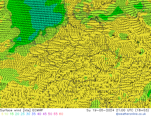Surface wind ECMWF Su 19.05.2024 21 UTC