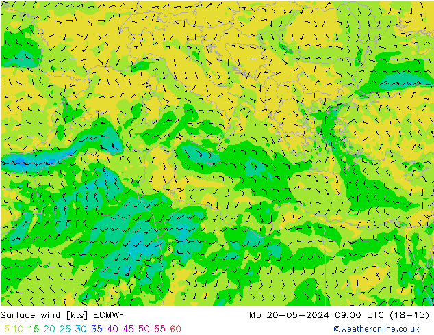 Surface wind ECMWF Mo 20.05.2024 09 UTC