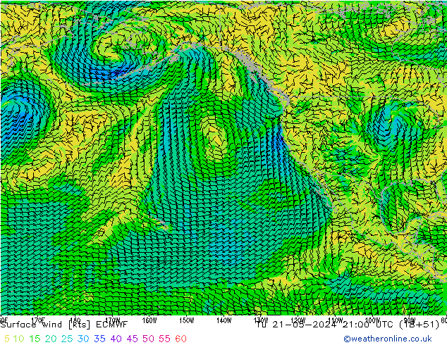 Surface wind ECMWF Tu 21.05.2024 21 UTC