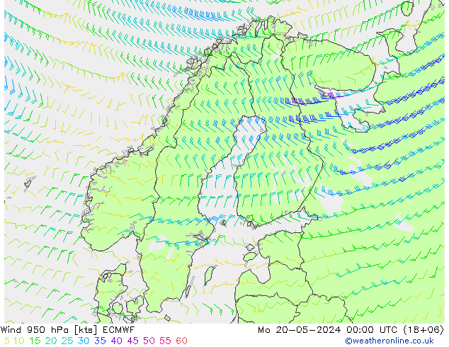 风 950 hPa ECMWF 星期一 20.05.2024 00 UTC