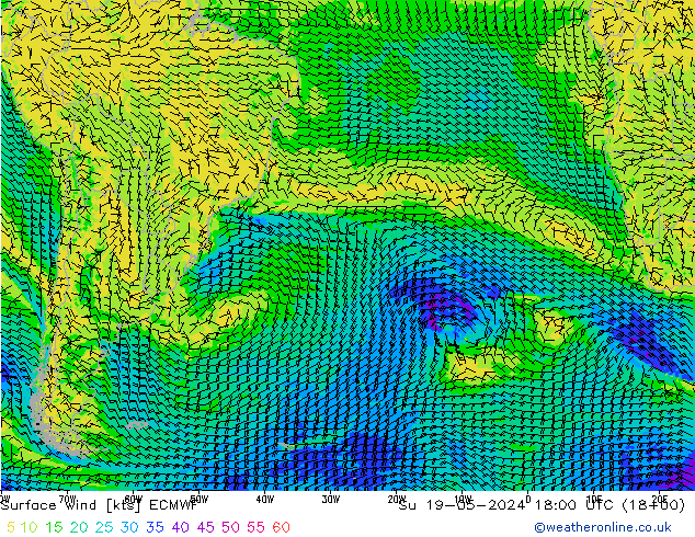 Viento 10 m ECMWF dom 19.05.2024 18 UTC