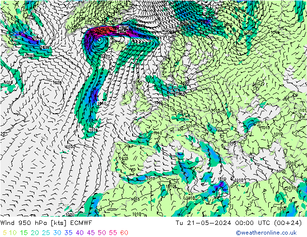 风 950 hPa ECMWF 星期二 21.05.2024 00 UTC