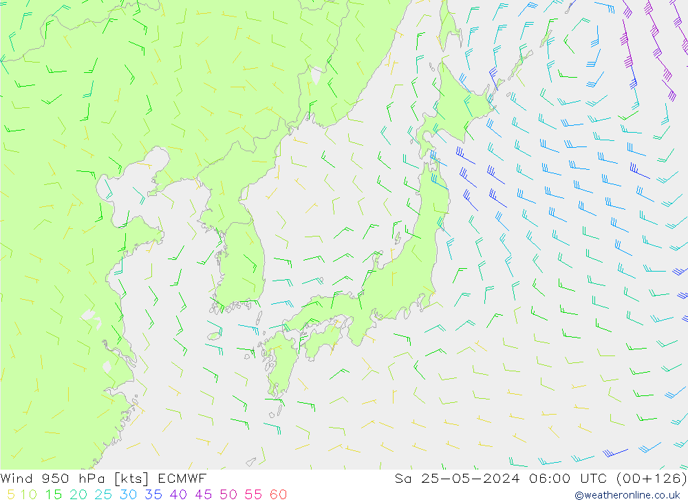 Wind 950 hPa ECMWF za 25.05.2024 06 UTC