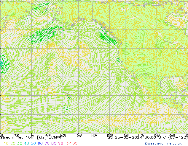 Línea de corriente 10m ECMWF sáb 25.05.2024 00 UTC
