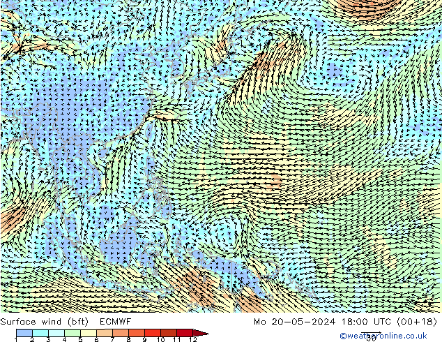 Rüzgar 10 m (bft) ECMWF Pzt 20.05.2024 18 UTC