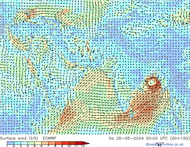 Surface wind (bft) ECMWF So 25.05.2024 00 UTC