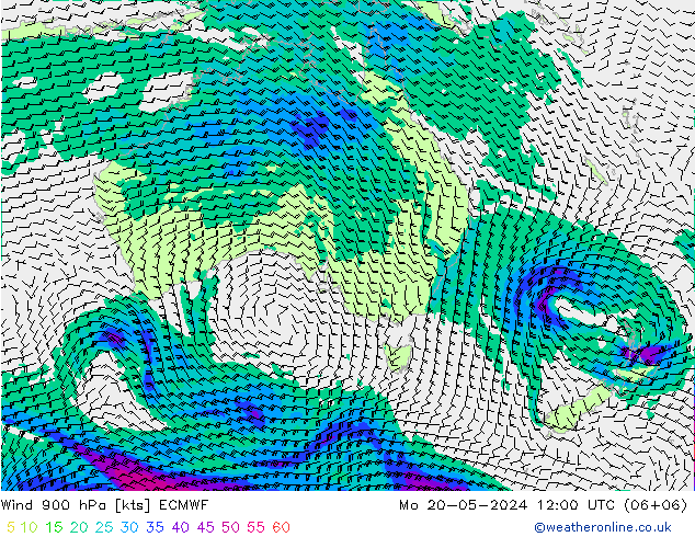 Wind 900 hPa ECMWF Mo 20.05.2024 12 UTC