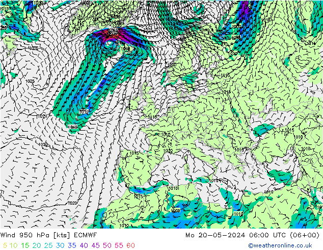 风 950 hPa ECMWF 星期一 20.05.2024 06 UTC