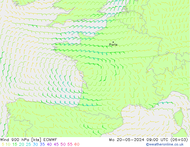 ветер 900 гПа ECMWF пн 20.05.2024 09 UTC