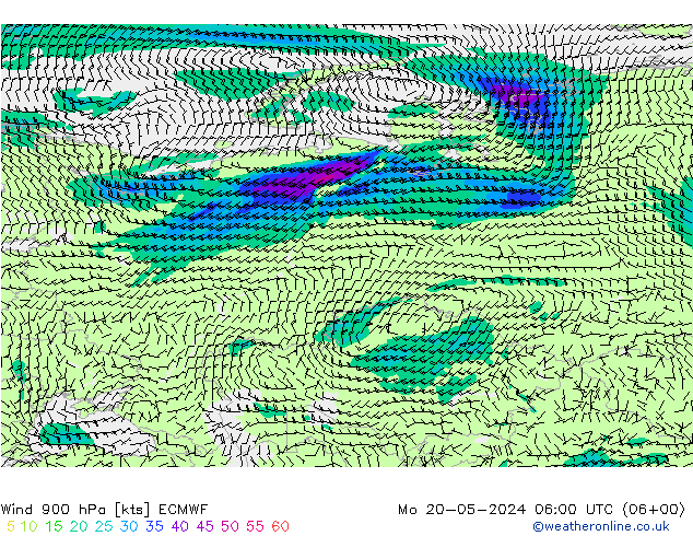 wiatr 900 hPa ECMWF pon. 20.05.2024 06 UTC