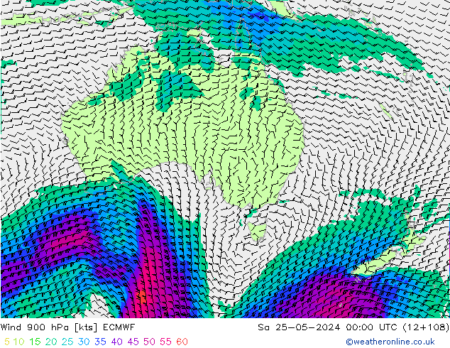 Wind 900 hPa ECMWF za 25.05.2024 00 UTC