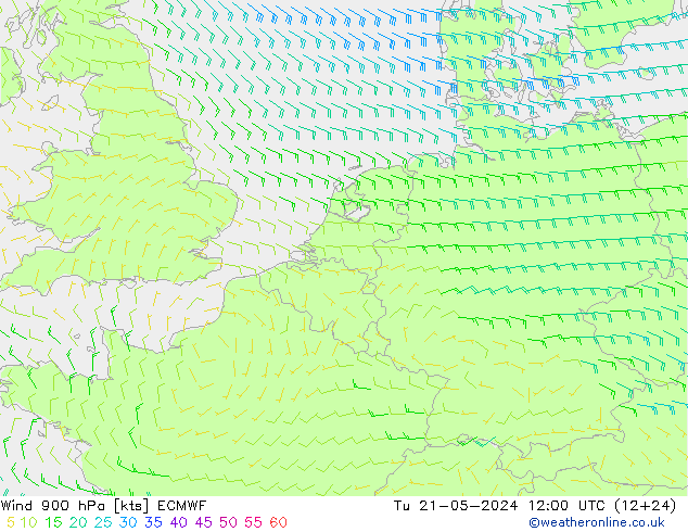 ветер 900 гПа ECMWF вт 21.05.2024 12 UTC