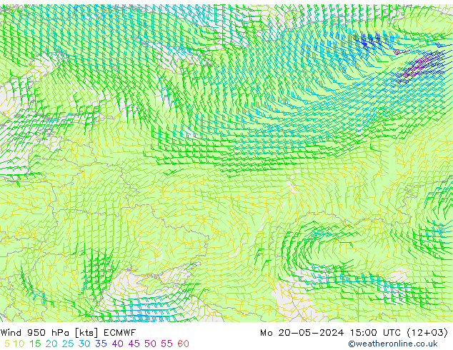 Rüzgar 950 hPa ECMWF Pzt 20.05.2024 15 UTC