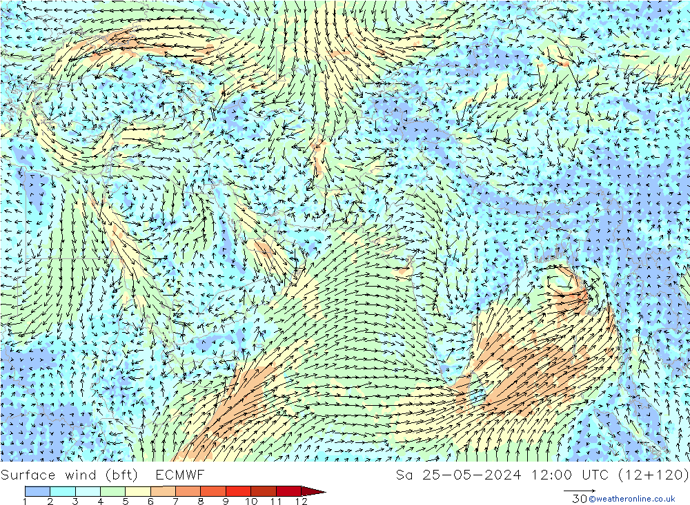 Surface wind (bft) ECMWF So 25.05.2024 12 UTC