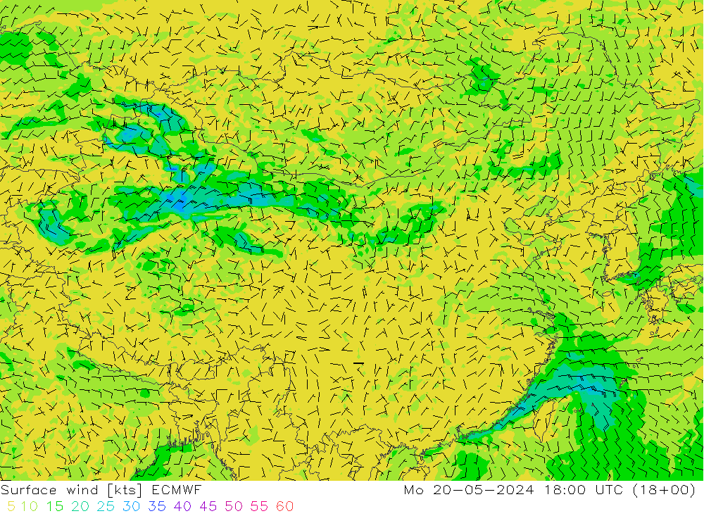 风 10 米 ECMWF 星期一 20.05.2024 18 UTC