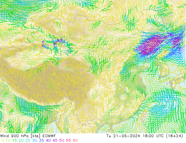 风 900 hPa ECMWF 星期二 21.05.2024 18 UTC