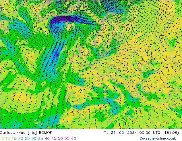 Surface wind ECMWF Tu 21.05.2024 00 UTC