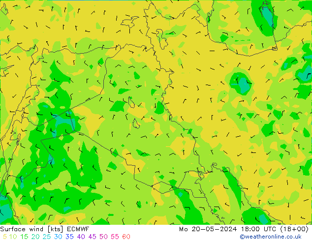  lun 20.05.2024 18 UTC