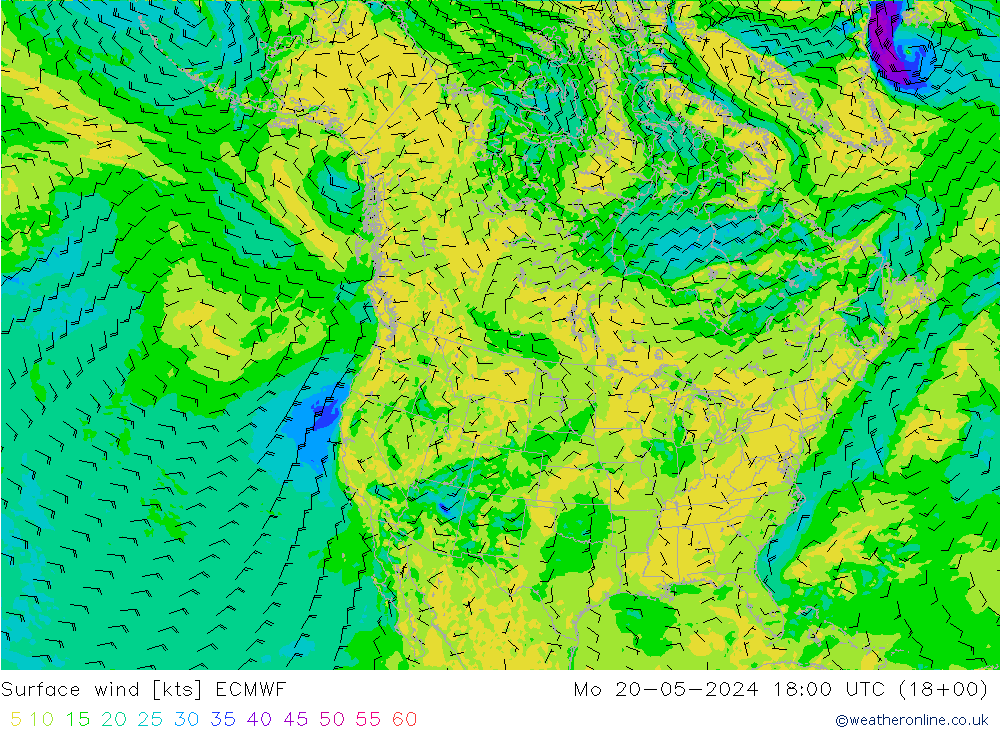 Surface wind ECMWF Mo 20.05.2024 18 UTC