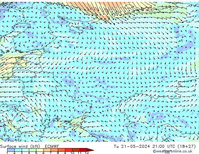 Wind 10 m (bft) ECMWF di 21.05.2024 21 UTC