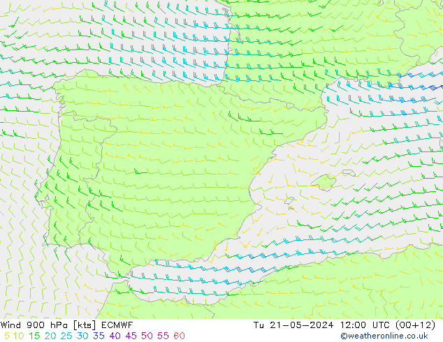 wiatr 900 hPa ECMWF wto. 21.05.2024 12 UTC