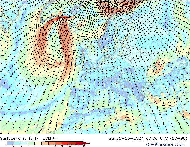 Surface wind (bft) ECMWF Sa 25.05.2024 00 UTC