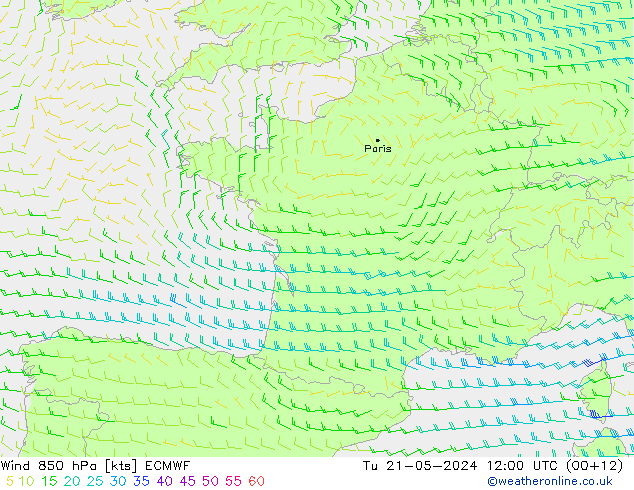 Wind 850 hPa ECMWF di 21.05.2024 12 UTC