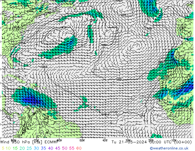 Wind 950 hPa ECMWF di 21.05.2024 00 UTC