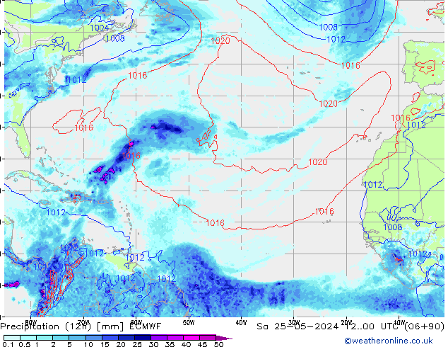 Yağış (12h) ECMWF Cts 25.05.2024 00 UTC