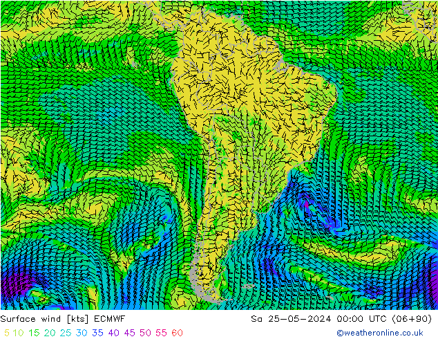 Surface wind ECMWF Sa 25.05.2024 00 UTC