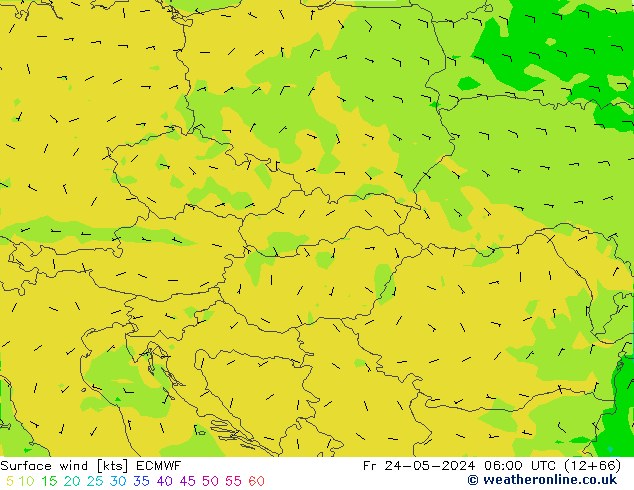 Wind 10 m ECMWF vr 24.05.2024 06 UTC