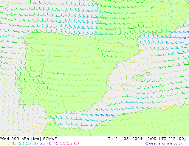 ветер 900 гПа ECMWF вт 21.05.2024 12 UTC