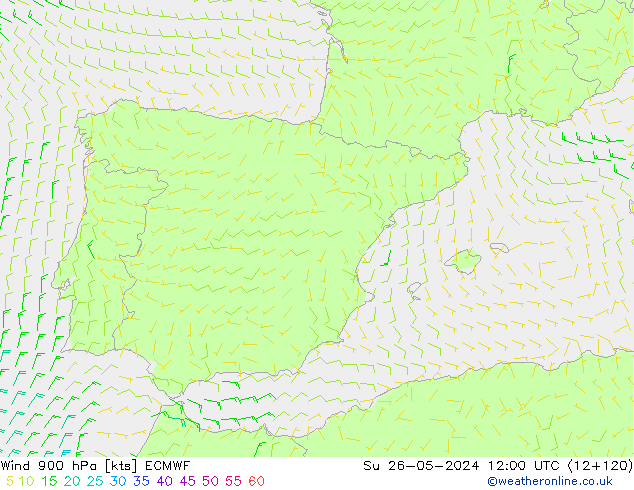 Wind 900 hPa ECMWF Su 26.05.2024 12 UTC