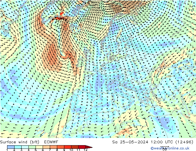 Surface wind (bft) ECMWF Sa 25.05.2024 12 UTC
