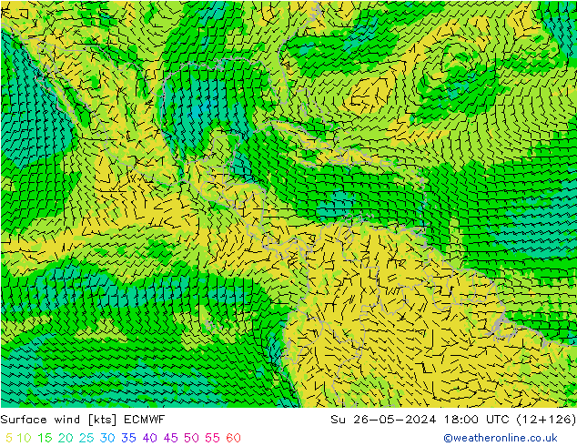 Wind 10 m ECMWF zo 26.05.2024 18 UTC