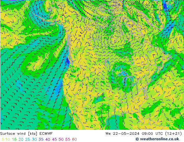 Vent 10 m ECMWF mer 22.05.2024 09 UTC