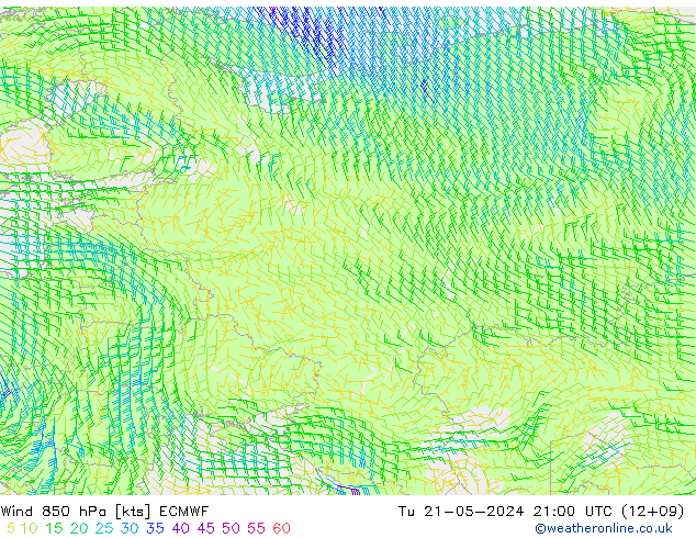 Wind 850 hPa ECMWF Tu 21.05.2024 21 UTC