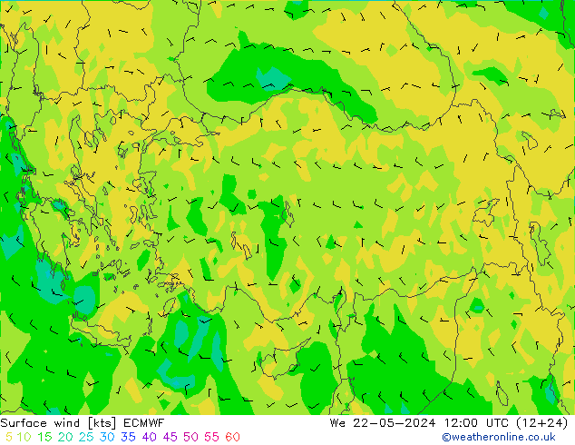 Surface wind ECMWF We 22.05.2024 12 UTC