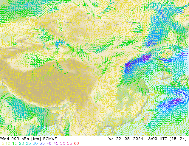 风 900 hPa ECMWF 星期三 22.05.2024 18 UTC