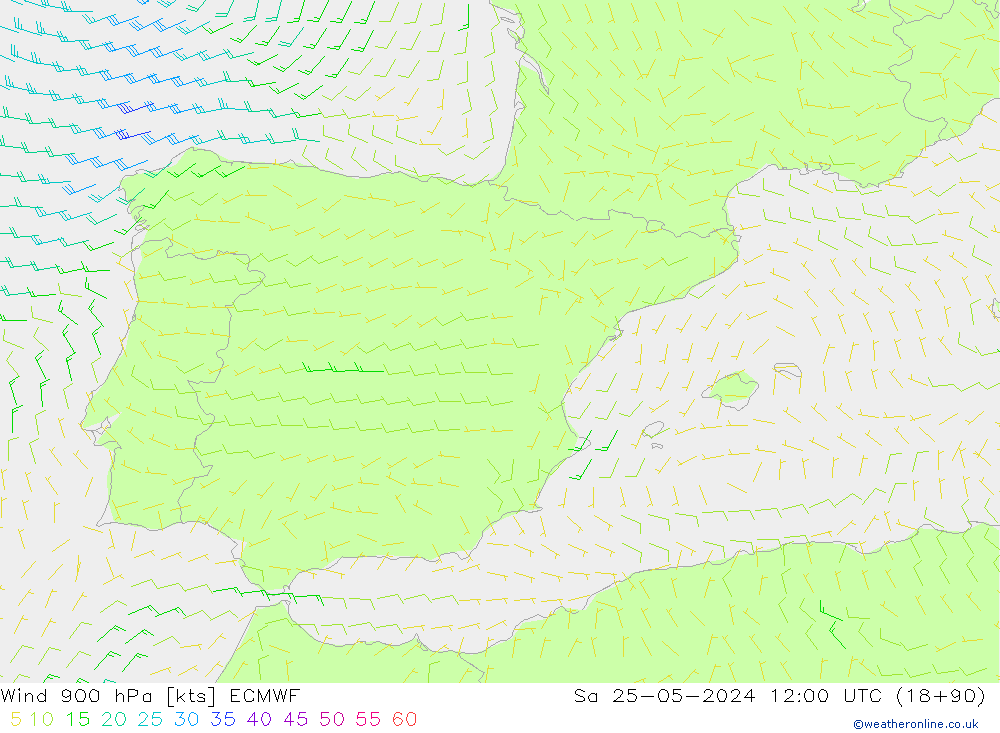 Wind 900 hPa ECMWF za 25.05.2024 12 UTC