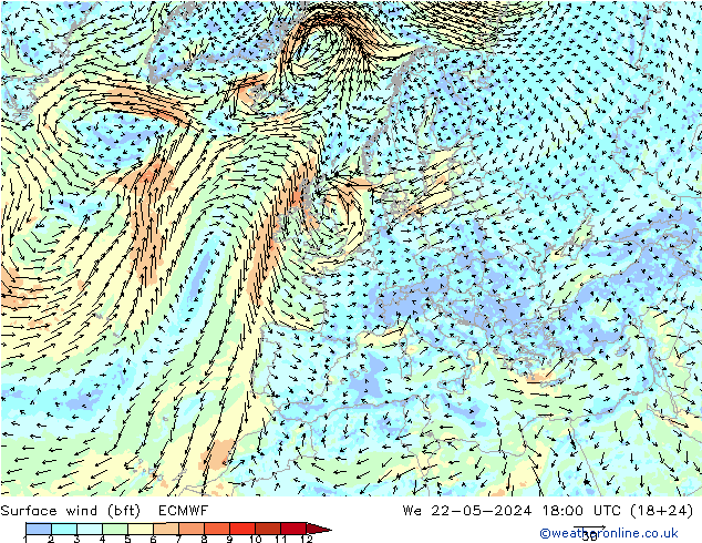 Wind 10 m (bft) ECMWF wo 22.05.2024 18 UTC