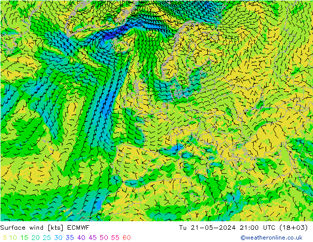 Bodenwind ECMWF Di 21.05.2024 21 UTC