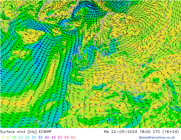 Surface wind ECMWF We 22.05.2024 18 UTC
