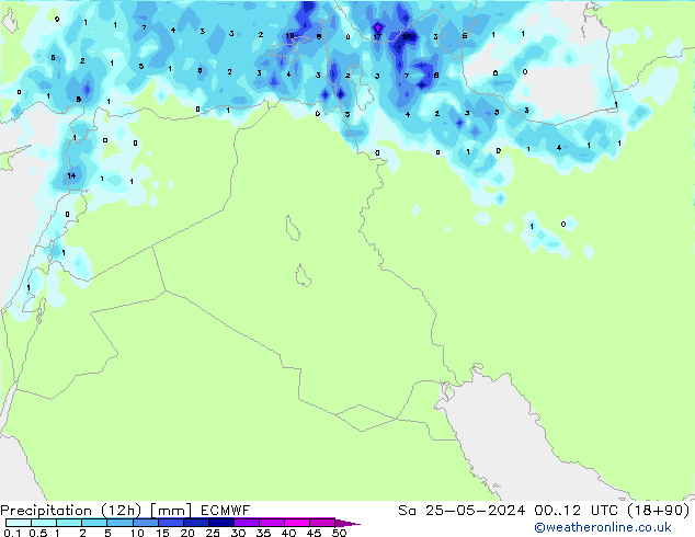 Precipitation (12h) ECMWF So 25.05.2024 12 UTC