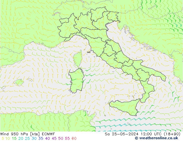 Wind 950 hPa ECMWF za 25.05.2024 12 UTC