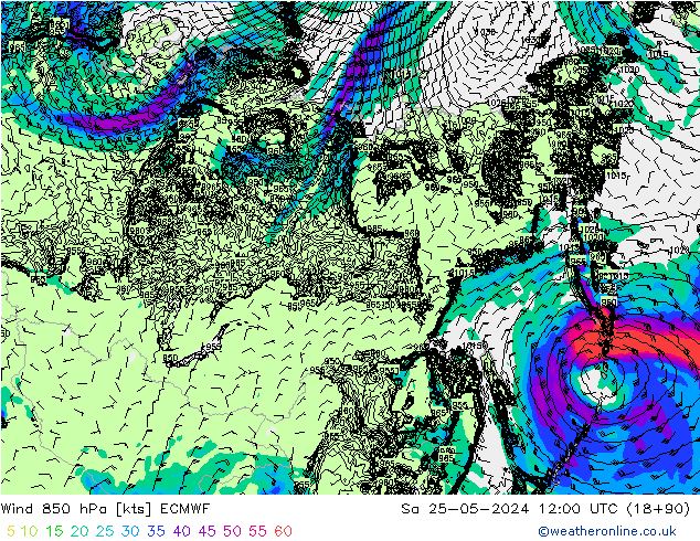  850 hPa ECMWF  25.05.2024 12 UTC