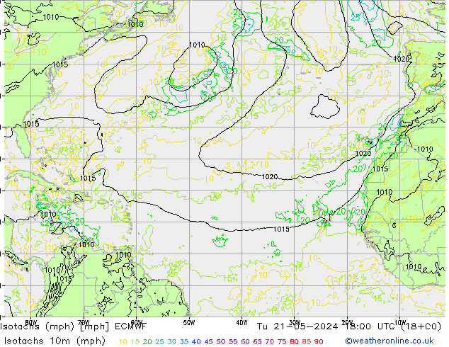 Izotacha (mph) ECMWF wto. 21.05.2024 18 UTC