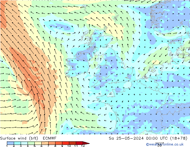 Surface wind (bft) ECMWF Sa 25.05.2024 00 UTC